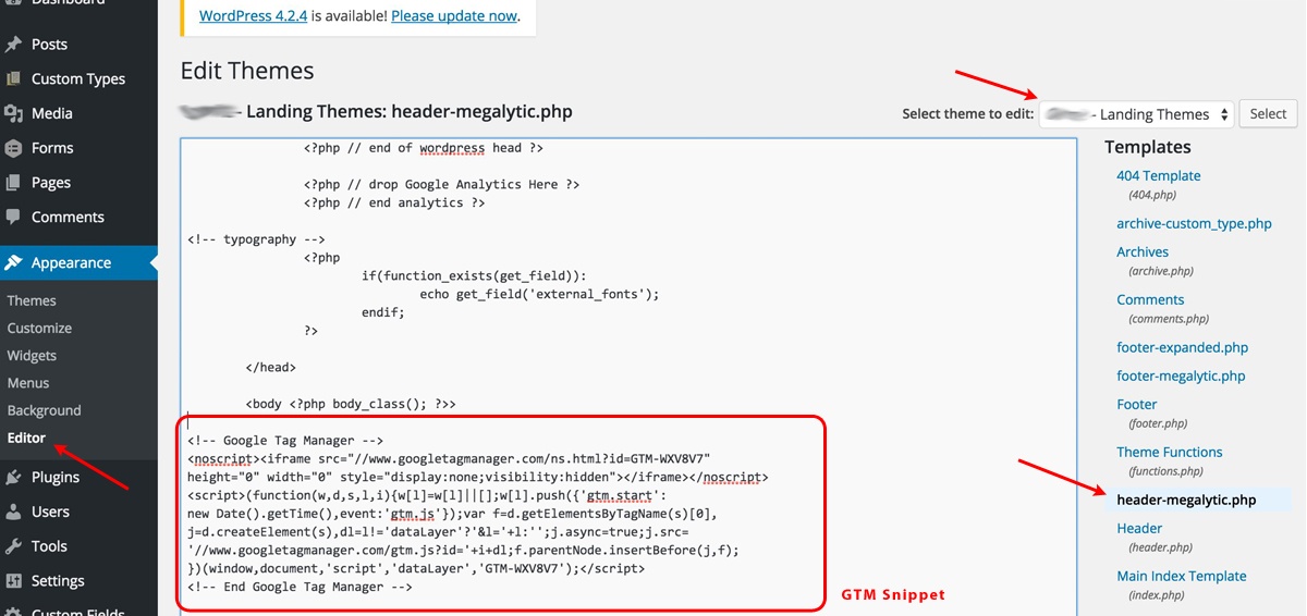 Insert Google Tag Manager Snippet in WordPress Header File