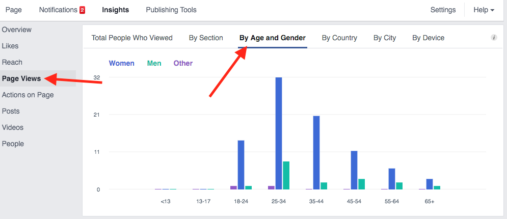 Facebook Insights Breakdown of Pageviews by Age and Gender
