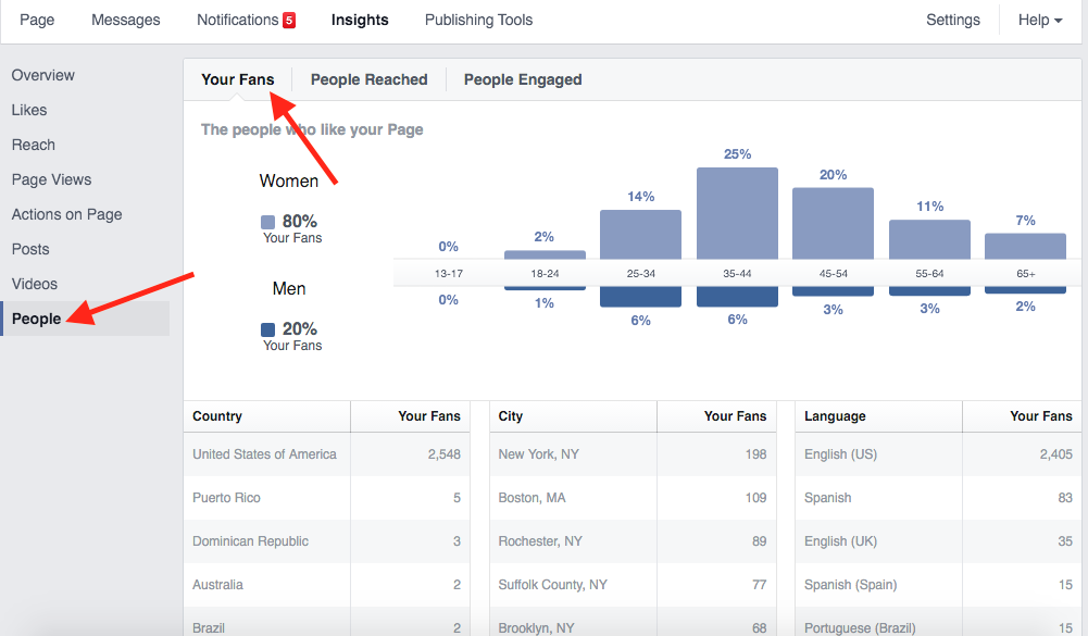 Facebook Insights Fan Demographics