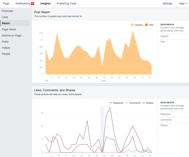 Facebook Page Reach Insights